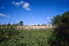 IMG_20260925_110240