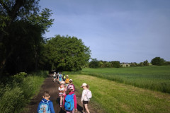 IMG_20260602_081552