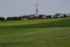 IMG_20260602_081601