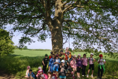 IMG_20260602_082221