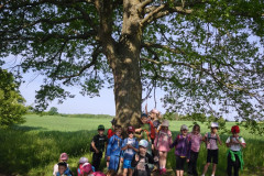 IMG_20260602_082223