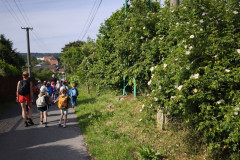 IMG_20260602_083356