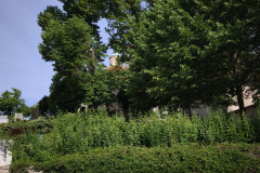 IMG_20260602_084201