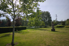 IMG_20260602_085045