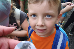 IMG_20260602_095137