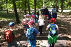 IMG_20260602_095639