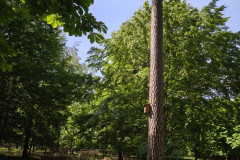IMG_20260602_095852