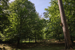 IMG_20260602_095859