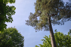 IMG_20260602_095901