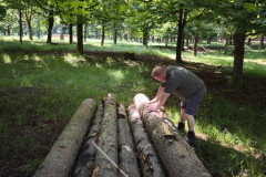 IMG_20260602_100635