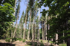 IMG_20260602_101050