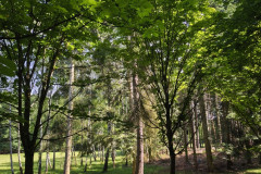 IMG_20260602_101317