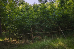 IMG_20260602_101402