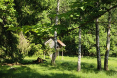 IMG_20260602_101556