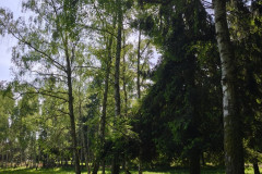 IMG_20260602_101733