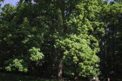 IMG_20260602_102329