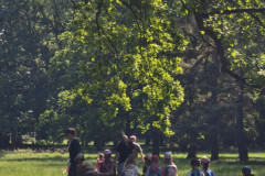 IMG_20260602_102447