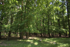 IMG_20260602_102502