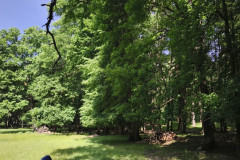 IMG_20260602_102506