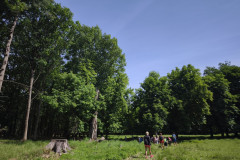 IMG_20260602_102654