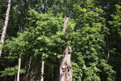 IMG_20260602_102713