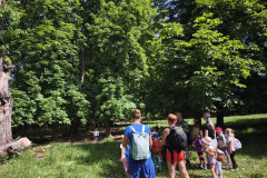 IMG_20260602_102714