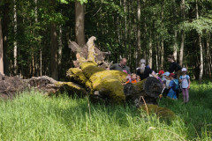 IMG_20260602_103232