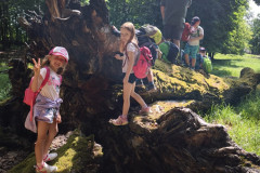 IMG_20260602_103730