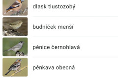 Screenshot_2026-06-02-09-28-36-344_com.labs_.merlinbirdid.app_