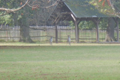 DSCN1572