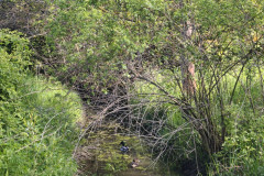 IMG_20260519_091545