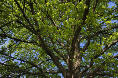 IMG_20260519_092031
