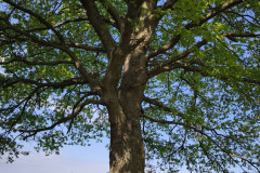 IMG_20260519_092040