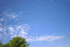 IMG_20260519_092050