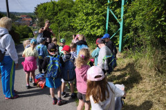 IMG_20260519_093204