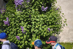 IMG_20260519_093927