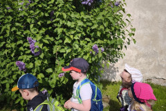 IMG_20260519_093929