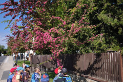 IMG_20260519_094412