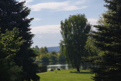 IMG_20260519_094734