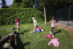 IMG_20260519_095018