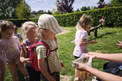 IMG_20260519_104712