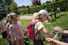 IMG_20260519_104715