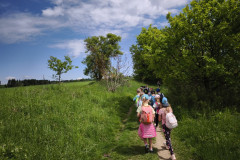 IMG_20260519_112718