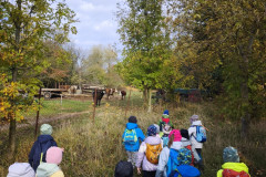 IMG_20261021_094601