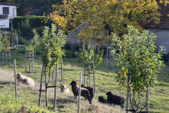 IMG_20261021_095231