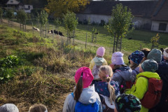IMG_20261021_095236