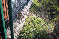 IMG_20261021_102150