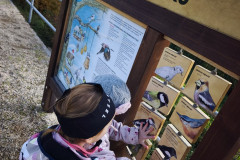 IMG_20261021_104253