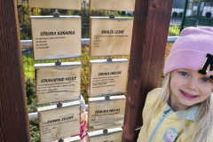IMG_20261021_104341