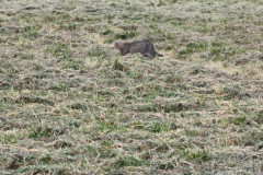 IMG_20261007_100932
